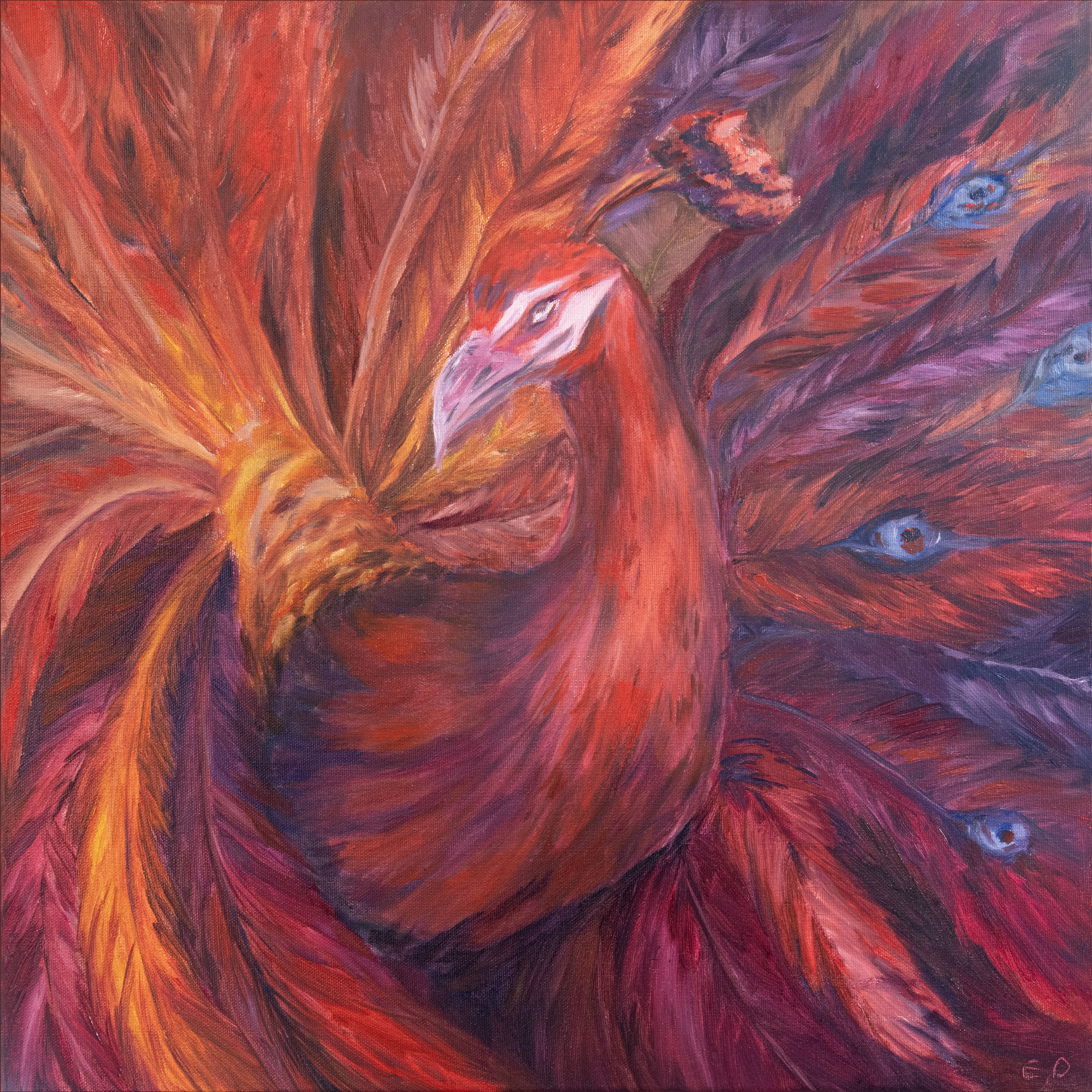 Der rote Pfau – Ellis Drews